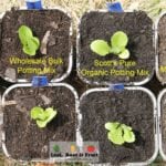 Bunning Potting Mix Comparison Melbourne