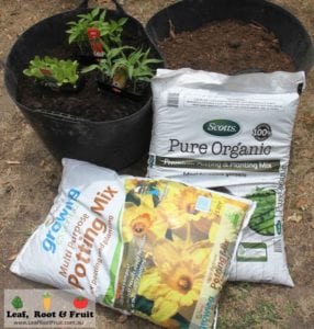 Soil Experiment Melbourne Soil Types Bunnings Potting Mix