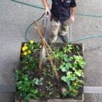 Harbour Town Docklands Apple Crate Herb and Veggie Patch Melbourne