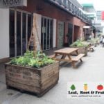 Harbour Town Docklands Apple Crate Herb and Veggie Patch Melbourne