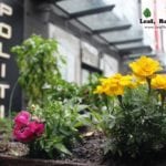 Harbour Town Docklands Apple Crate Herb and Veggie Patch Melbourne