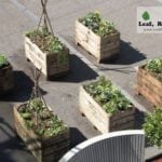 Harbour Town Docklands Apple Crate Herb and Veggie Patch Melbourne