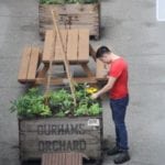 Harbour Town Docklands Apple Crate Herb and Veggie Patch Melbourne