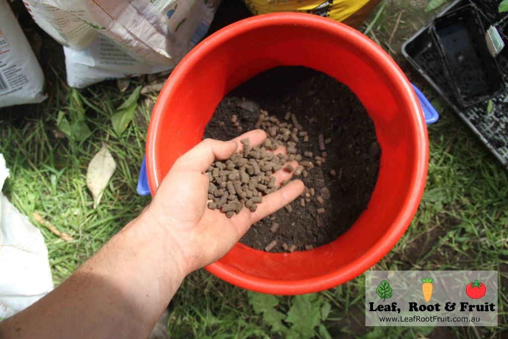 Which is the best organic fertilizer from bunnings