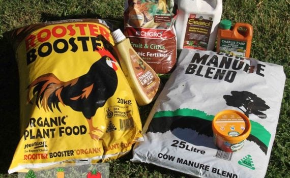 Which Bunnings Fertilizer is Best?