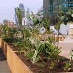 District Docklands Kids Garden Melbourne