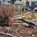 District Docklands Kids Garden Melbourne