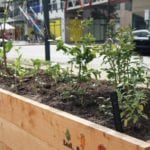 District Docklands Kids Garden Melbourne