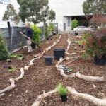 District Docklands Kids Garden