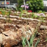 District Docklands Kids Garden Melbourne