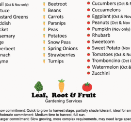 Sring Planting Guide Melbourne