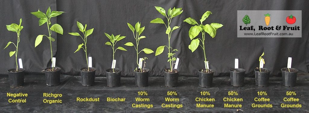 Soil Ammendment Trial Melbourne