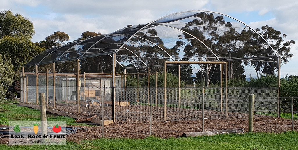 Harvest Protection Orchard Netting Birds Walk in Anti-Aviary