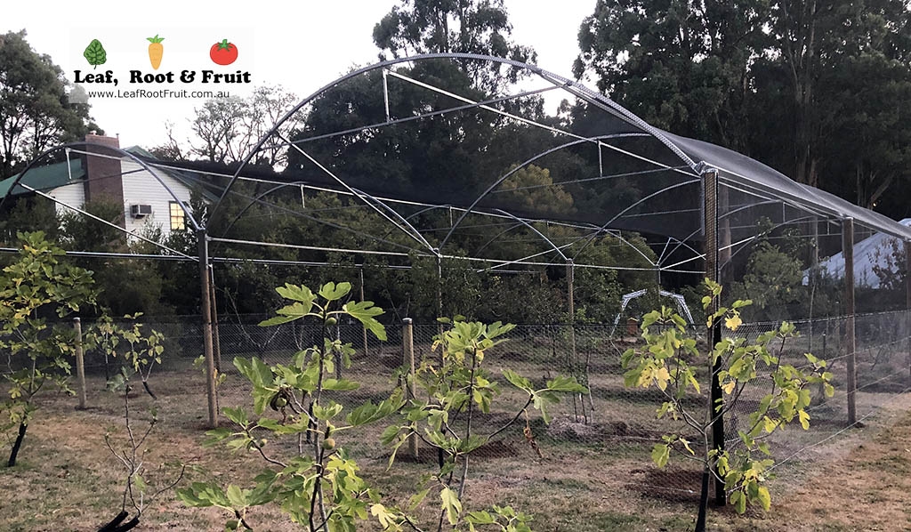 Harvest Protection Orchard Netting Birds Walk in Anti-Aviary