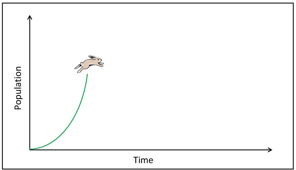 Good Bugs Bad Bugs Population Dynamics