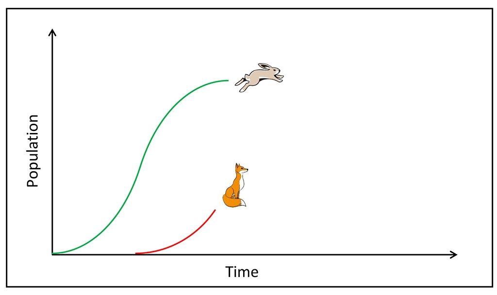 Good Bugs Bad Bugs Population Dynamics