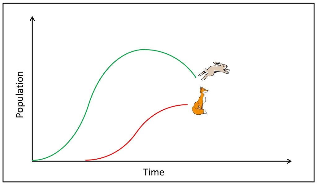 Good Bugs Bad Bugs Population Dynamics