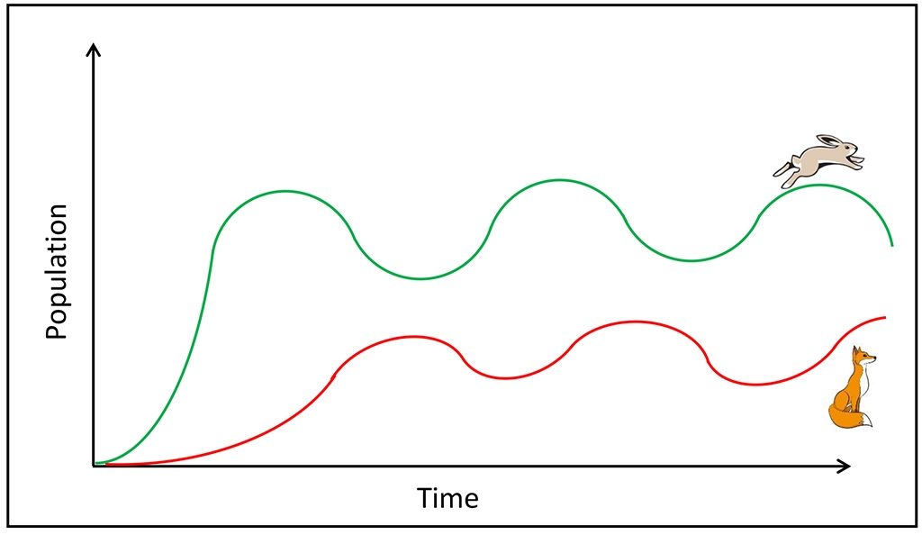 Good Bugs Bad Bugs Population Dynamics