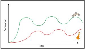 Fox And Rabbit Graph Garden Ecosystems Part One: Pest Predator Dynamics and Balance - Leaf ...