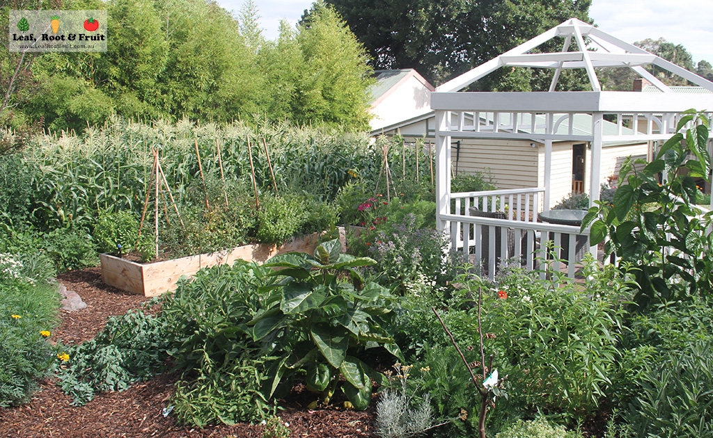 resilient foodscape garden ecosystem