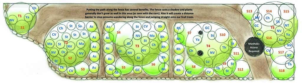 Edible Forest Garden designed around possums