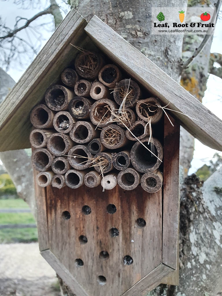 Good Bugs Beneficial insect hotels