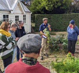 Garden Workshop Kyneton Melbourne Vegetable Garden Orchard