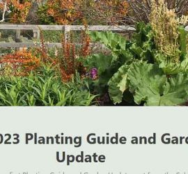 Vegetable Planting Guide Temperate Garden