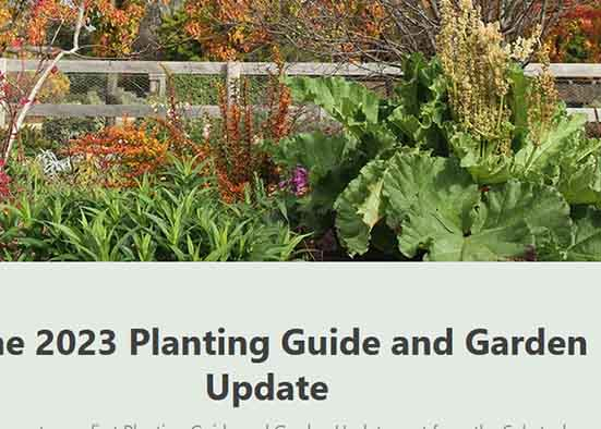 Vegetable Planting Guide Temperate Garden
