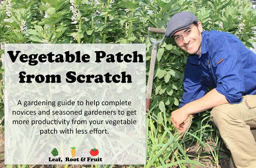 Vegetable Garden Guide How to set up and maintain a vegetable patch