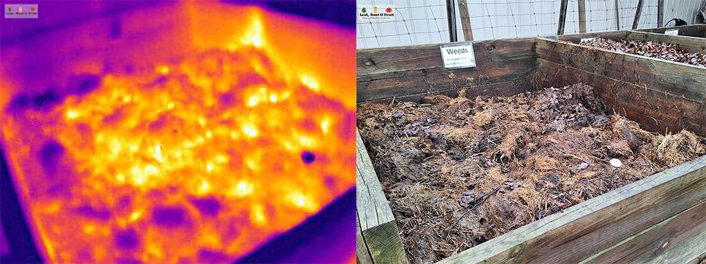 Hot compost construction guide thermal imagery in the garden