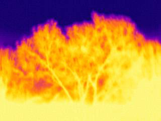 thermal image of the garden is useful microclimate Kyneton
