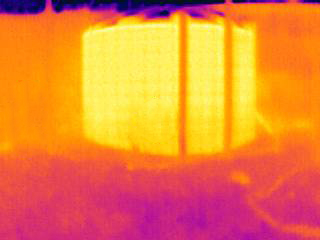 Thermal imagery of microclimates. How a tank provides a microclimate for growing citrus