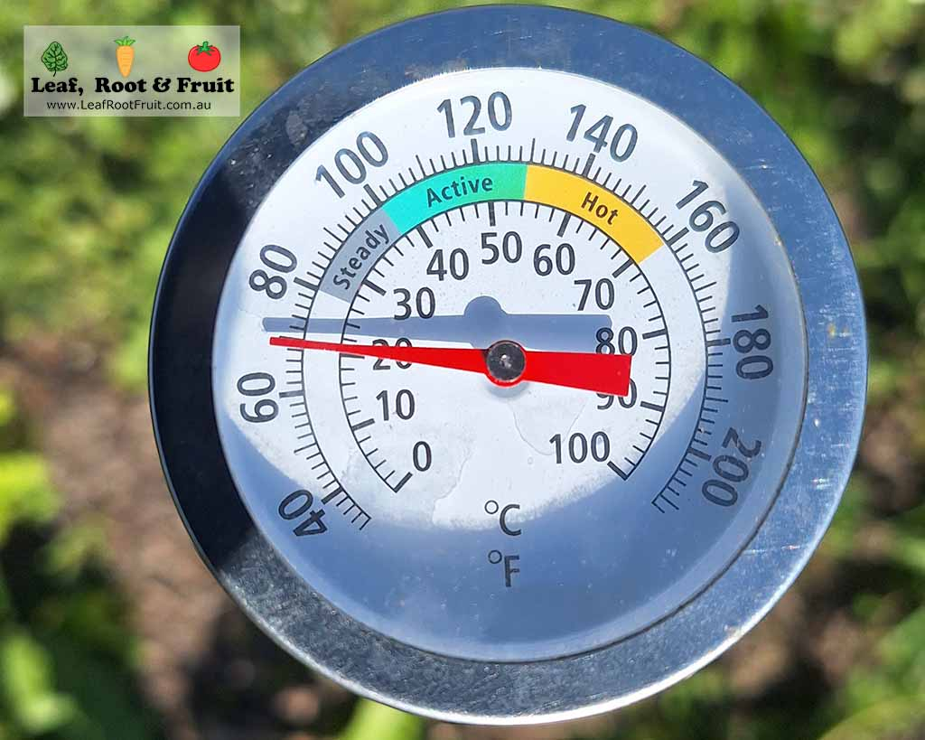 Compost thermometer being used to measure soil temperature. Early spring planting