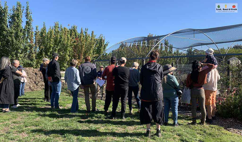 Private Garden Tours in Central Victoria, Macedon Ranges. Gardening Groups