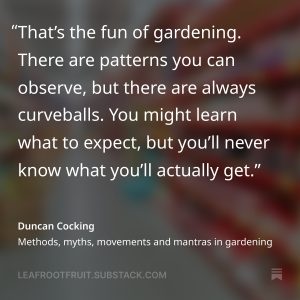 That’s the fun of gardening. There are patterns you can observe, but there are always curveballs. You might learn what to expect, but you’ll never know what you’ll actually get.