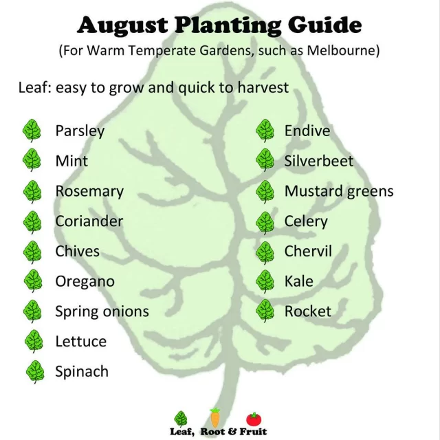 Guide to Planting Vegetables in Spring: Easy Steps for a Thriving Garden